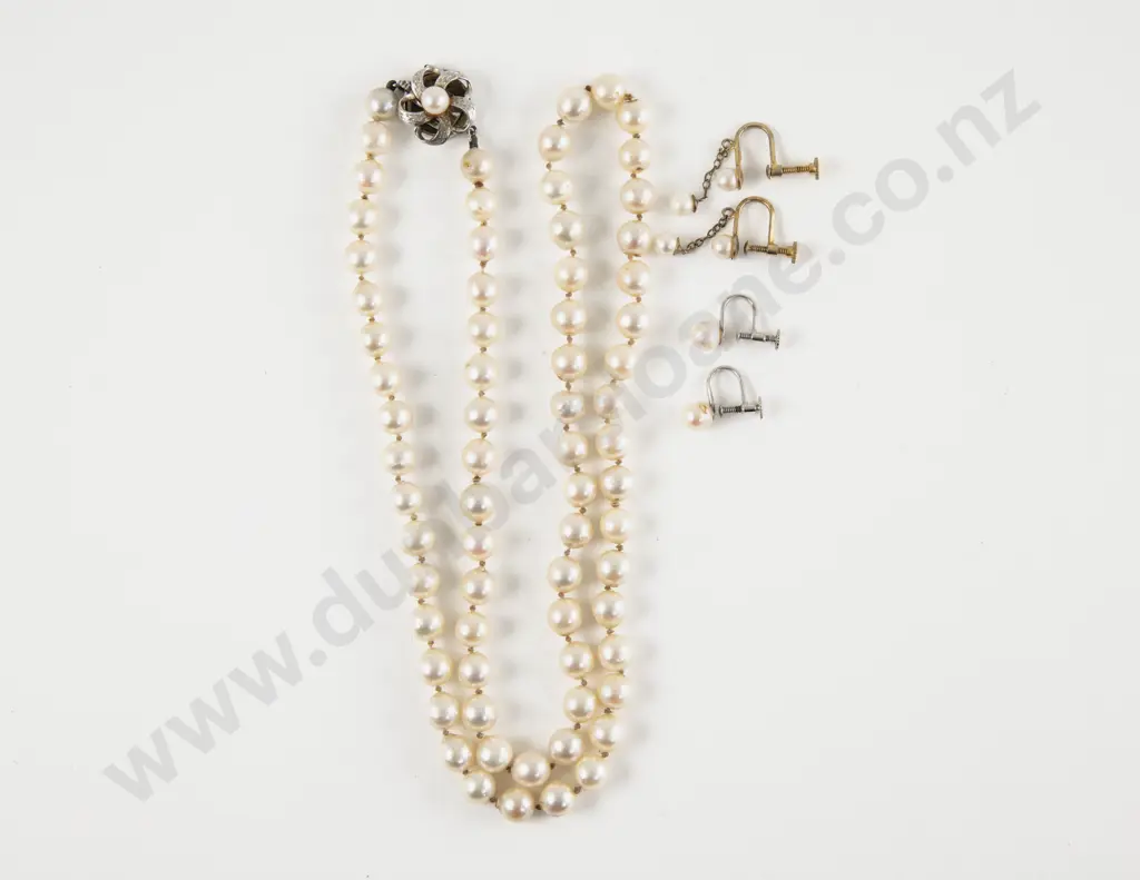 Single Strand Uniform Freshwater Pearl Necklace Image 1++