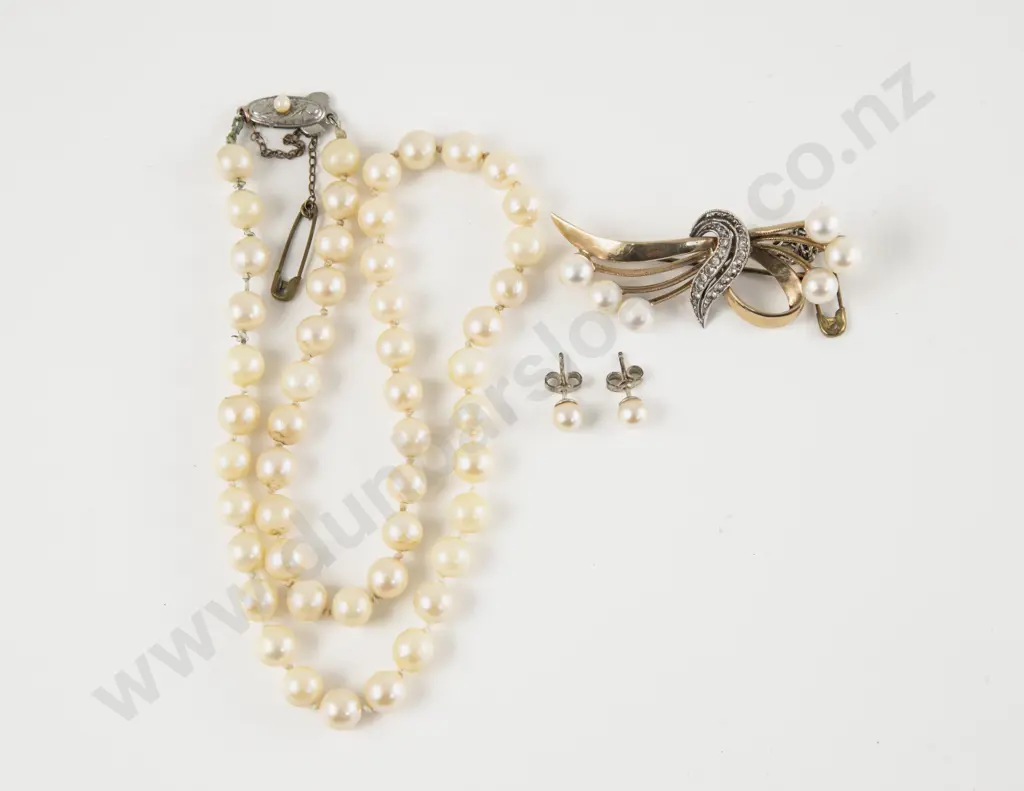 Single Strand Cultured Pearl Necklace Image 1++