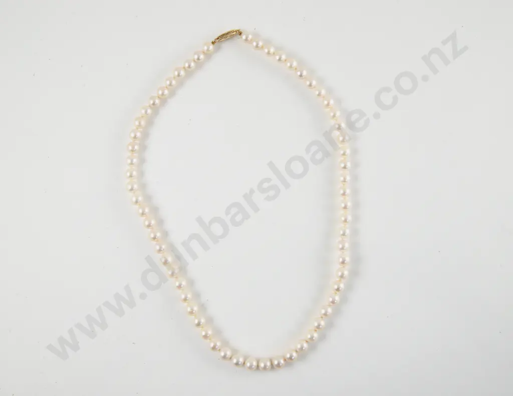 Single Strand Uniform Cultured Pearl Necklace Image 1++