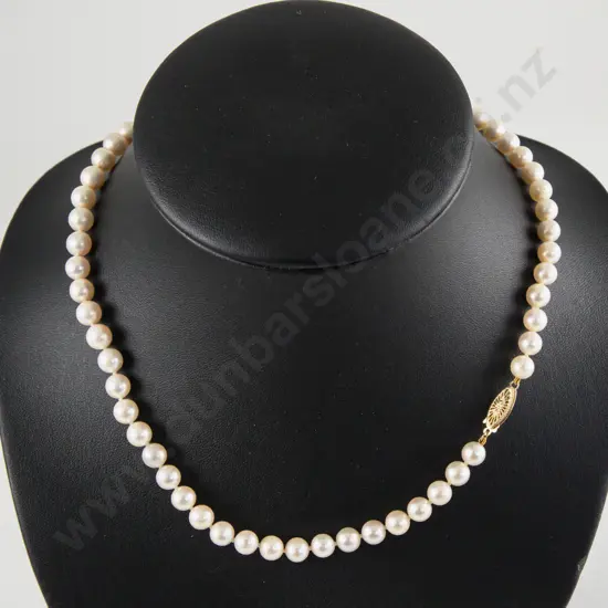 Single Strand Uniform Cultured Pearl Necklace