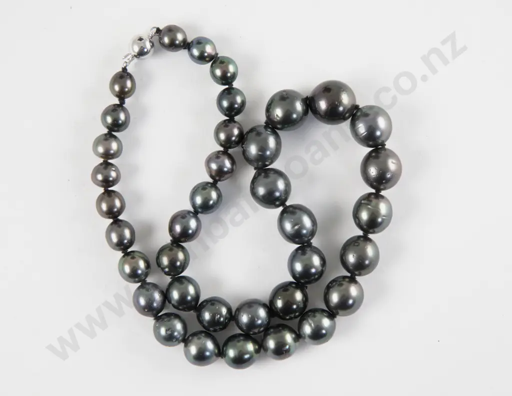 Single Strand Graduated Freshwater Pearl Necklace Image 1++