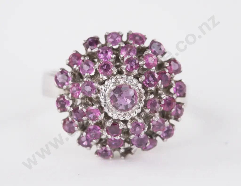 9ct White Gold 36Stone Garnet Cluster Ring Image 1++