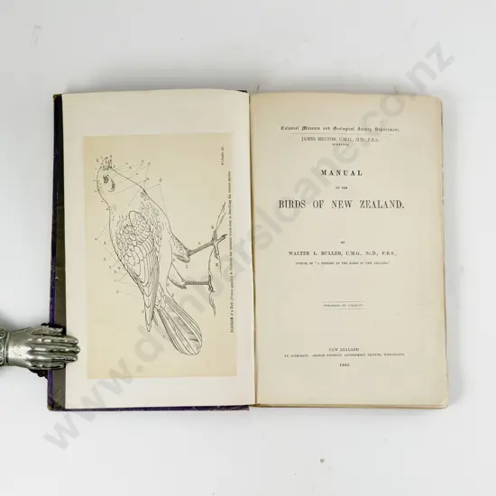 Buller Walter L - Manual Of The Birds Of New Zealand