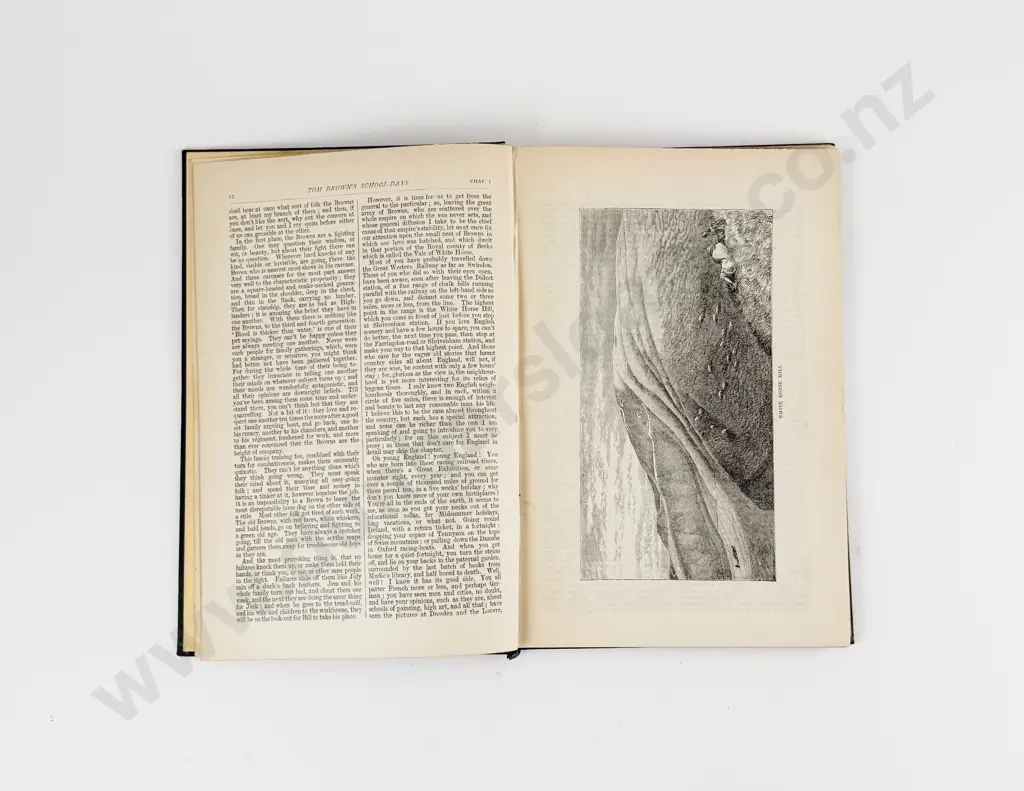 An Old Boy (Thomas Hughes) Tom Brown's School Days Image 1++