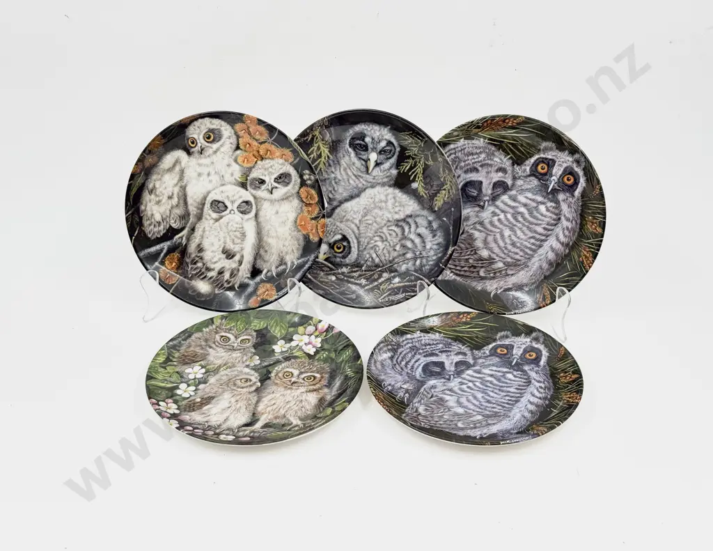 Five Assorted "The Baby Owls" Wedgwood Side Plates Image 1++