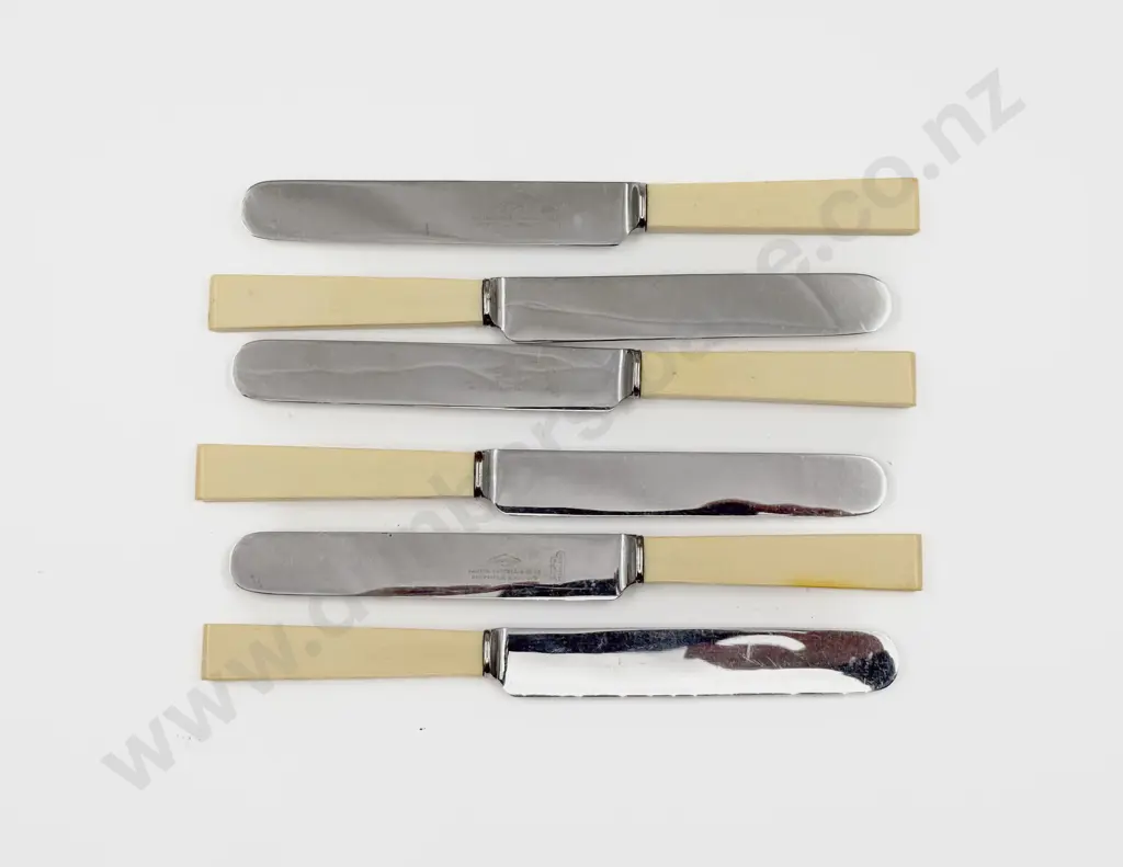 Boxed Set of Bone Handled Knives Image 1++