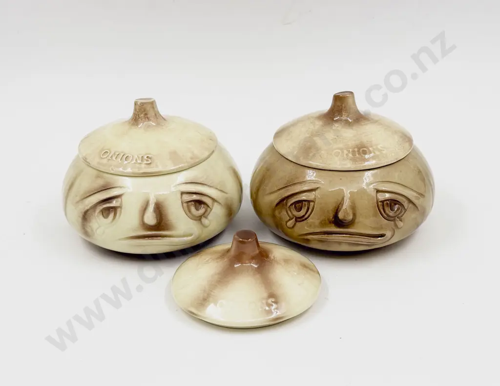 Sylvac Onion Jar with Falconware Example Image 1++