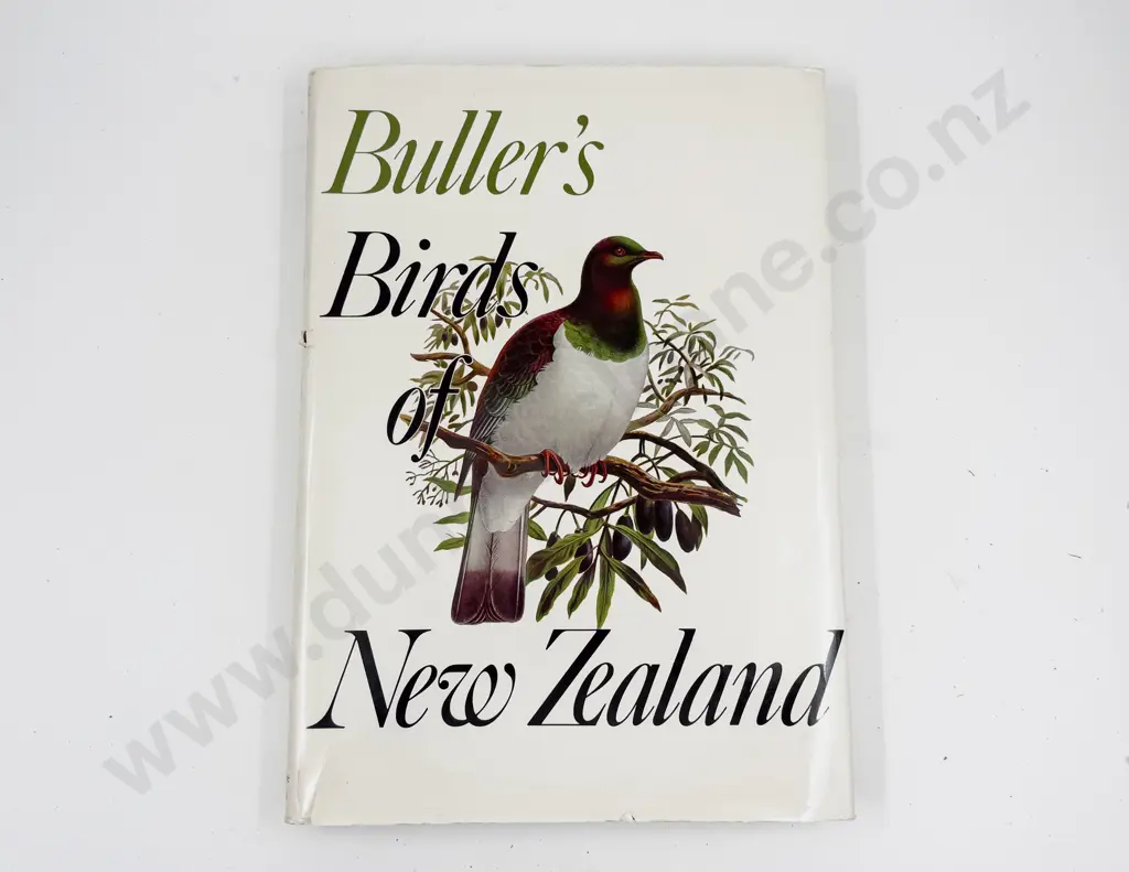 Bullers Birds of New Zealand Image 1++