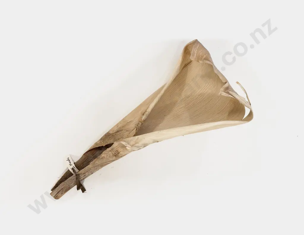 Dried Palm Frond Stem Image 1++