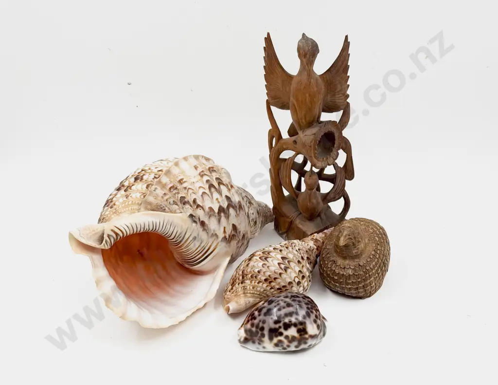 Very Large Conch Shell & Two Others Along with Two Carved Figures Image 1++