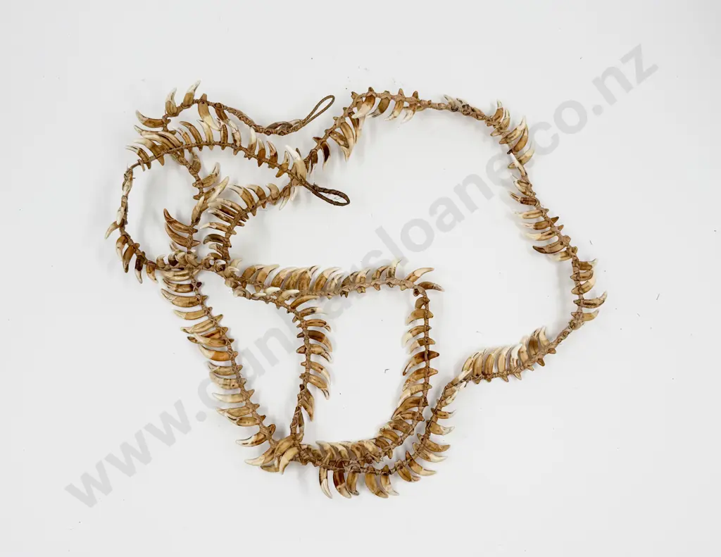 Papua New Guinea Warriors Dog Tooth Necklace Image 1++
