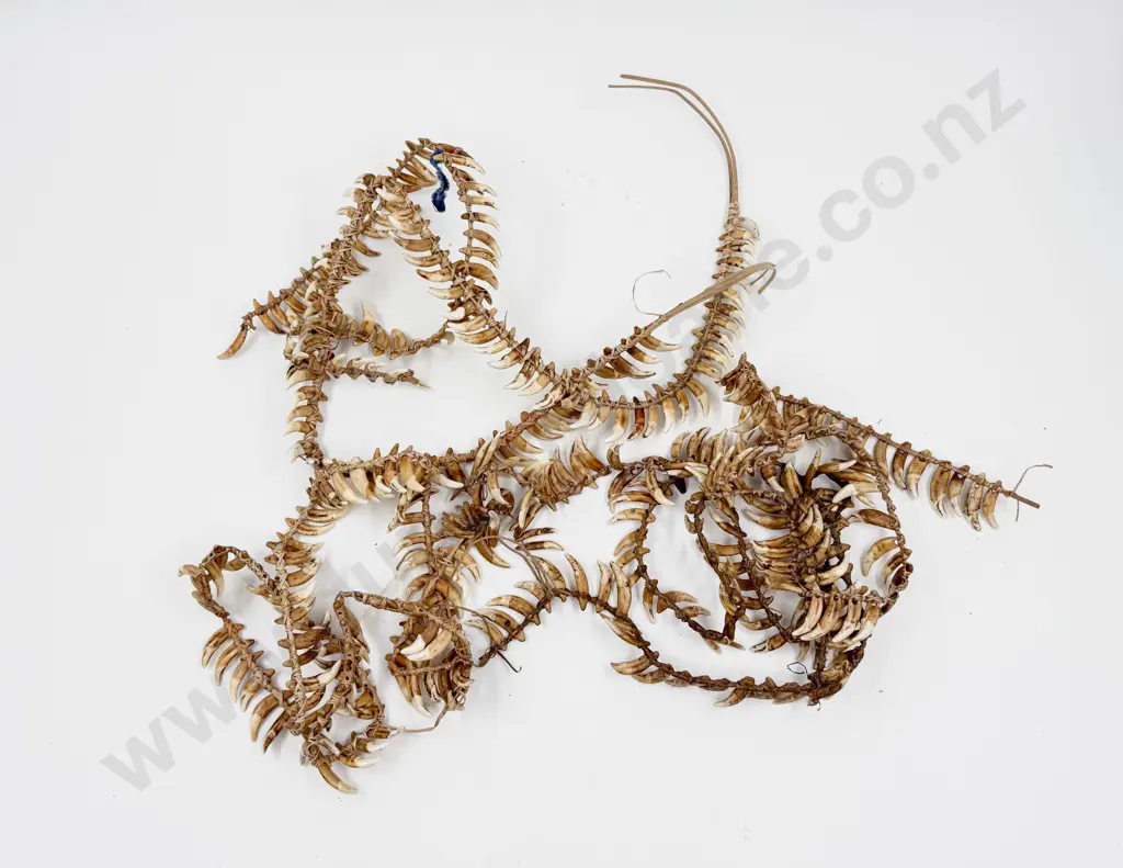 Papua New Guinea Warriors Dog Tooth Broken Necklace Lengths Image 1++