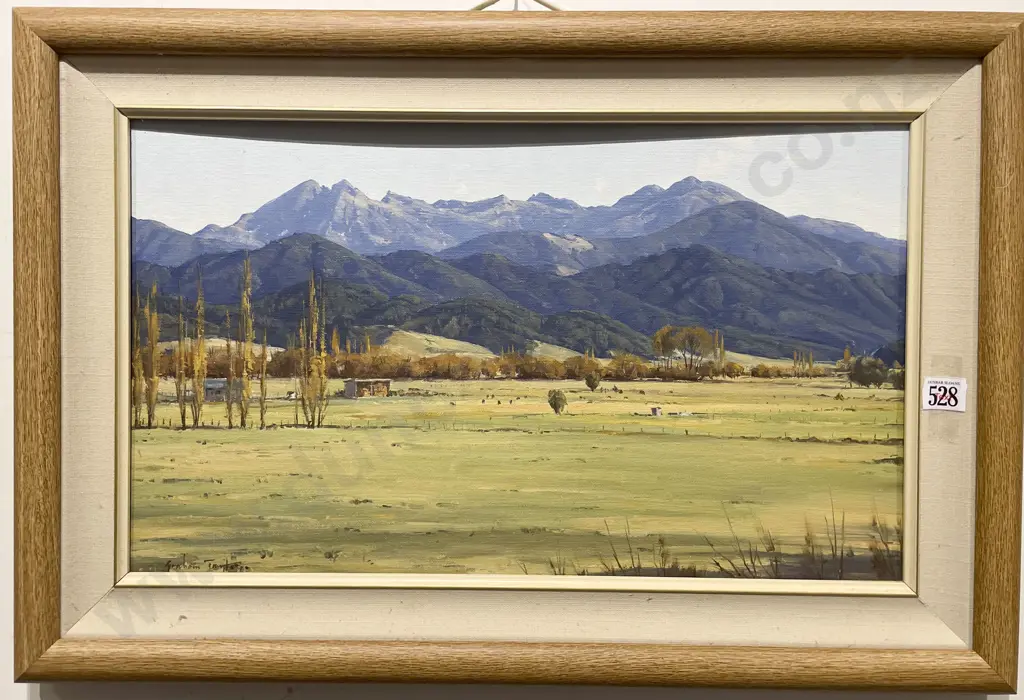 Graham Taylor - "Mount Arthur Range in Nelson" - Oil on Board Image 1++