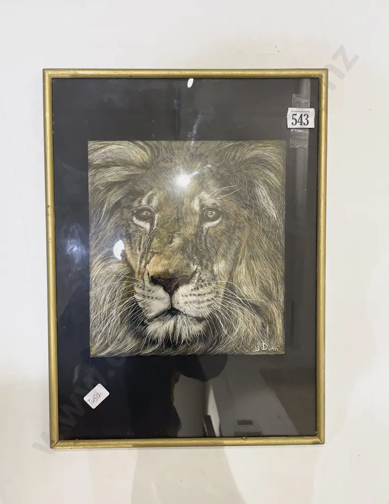 J. Dunn - Lion Study - Print Image 1++