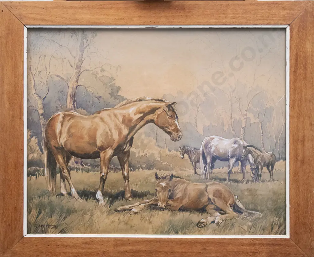 J. I. McMurtry - Horse Study - Watercolour Image 1++