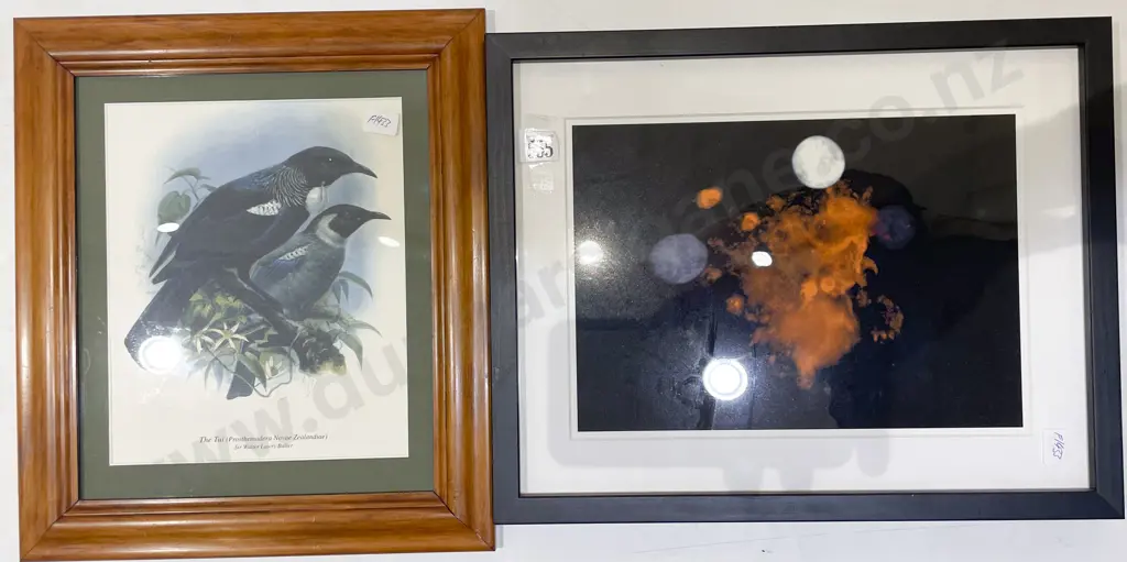 Lunar Study Photographic Print & Other Image 1++