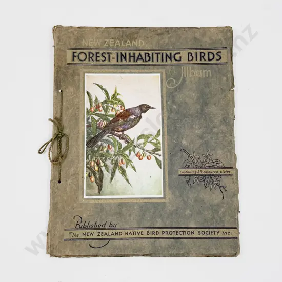 NZ Forest-Inhabiting Birds