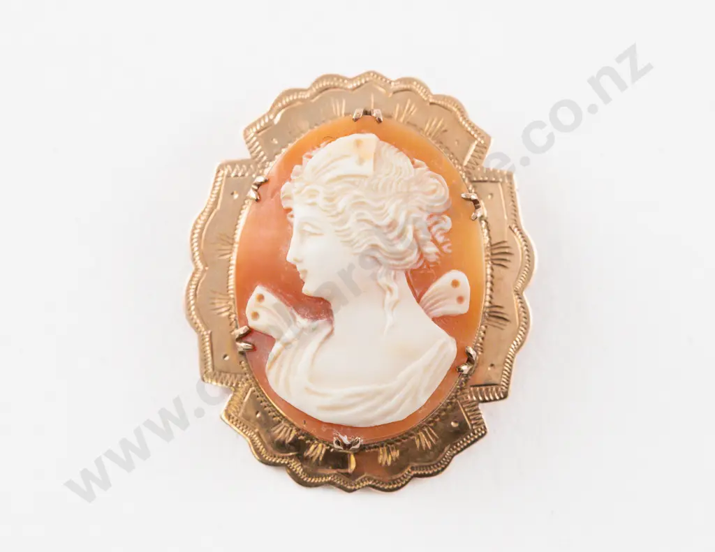 9ct Framed Classical Portrait Cameo Brooch Image 1++