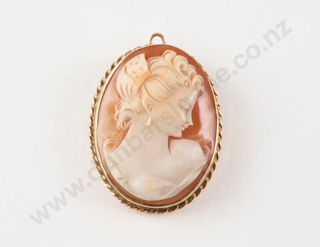 9ct Framed Classical Portrait Cameo Brooch Image 1++