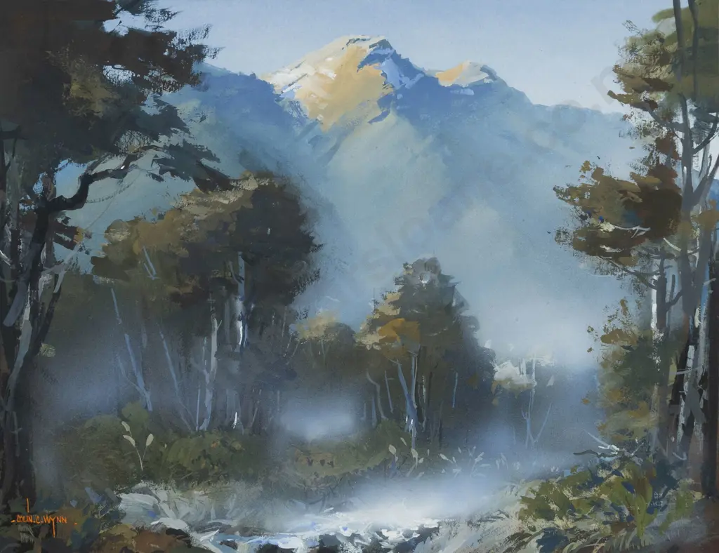 Colin C Wynn - Evening - Victoria Range - North Westland Image 1++