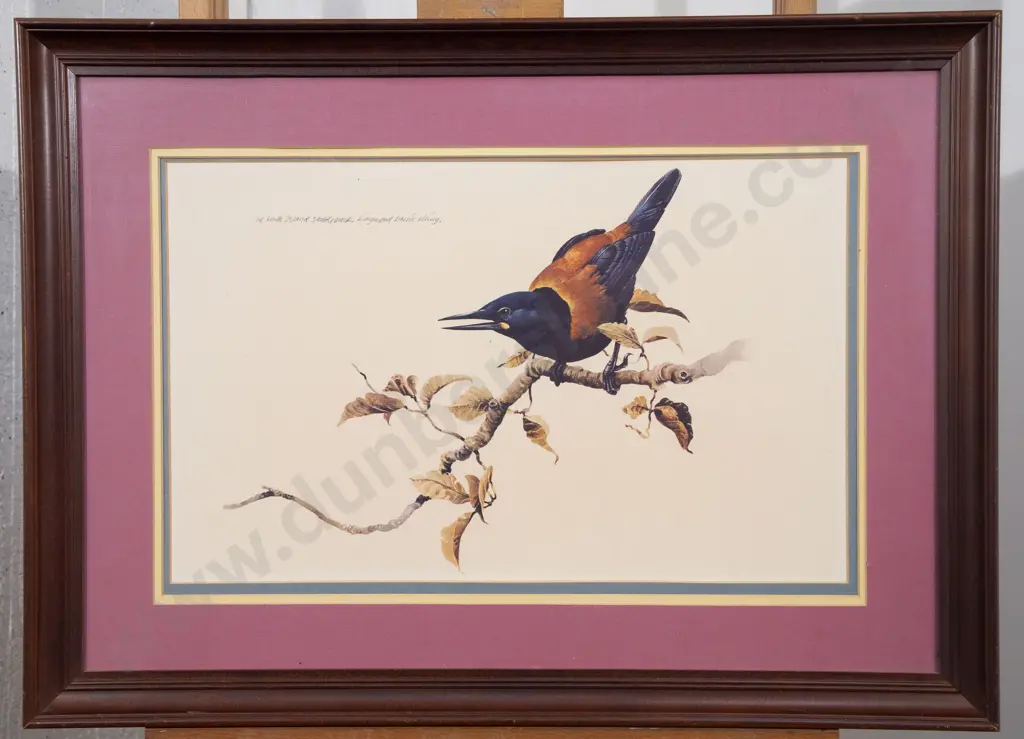 Raymond Ching - The North Island Saddleback Image 1++