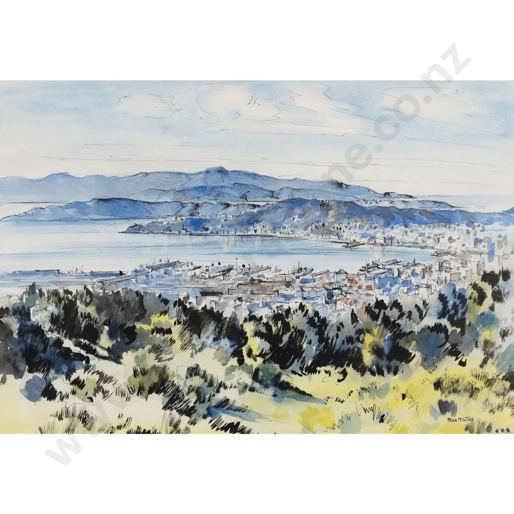 Peter McIntyre - Wellington Harbour Image 1++