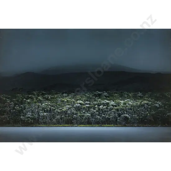 Scott Perkins - Large Lightbox I