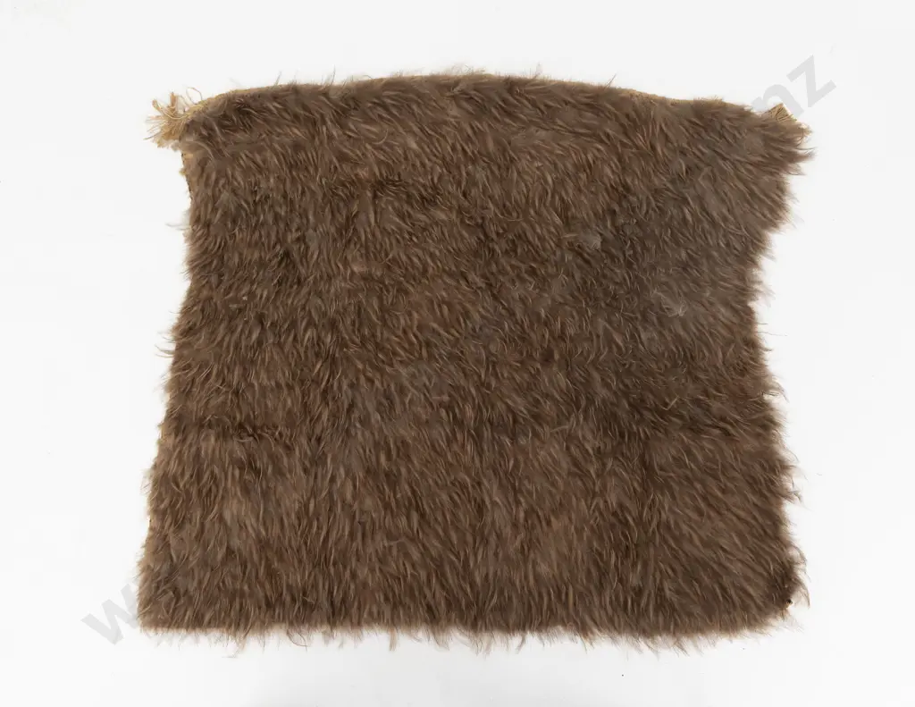 Fine kahu kiwi (kiwi feather cloak) Image 1++