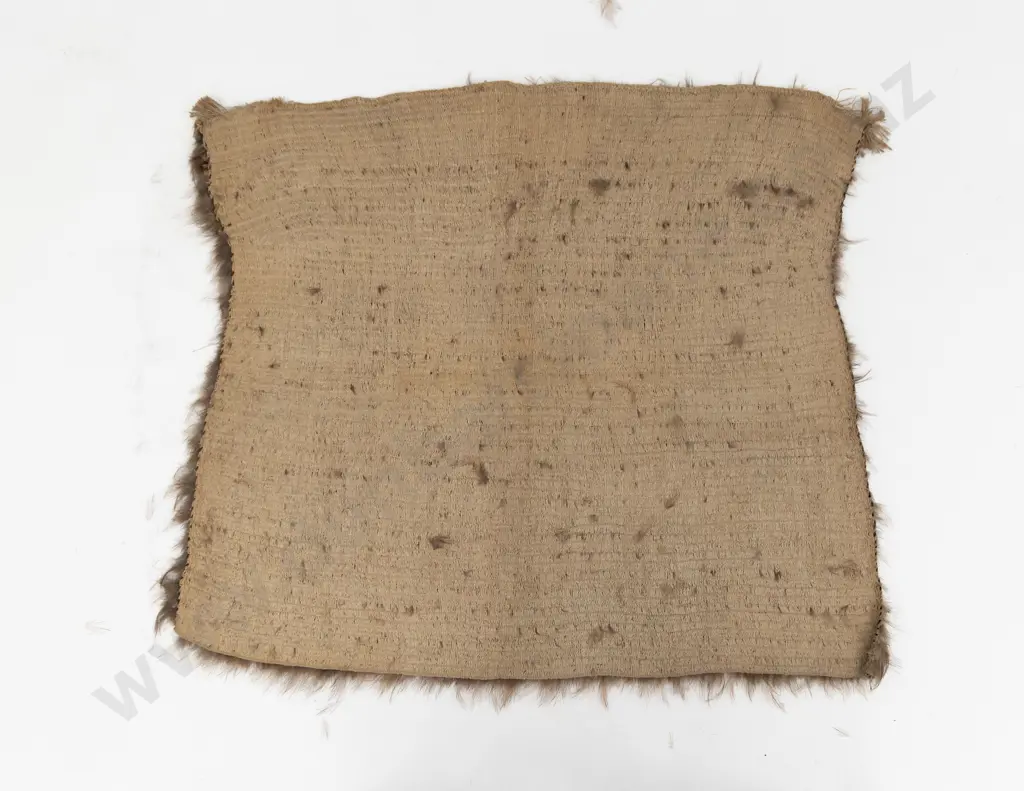 Fine kahu kiwi (kiwi feather cloak) Image 1++
