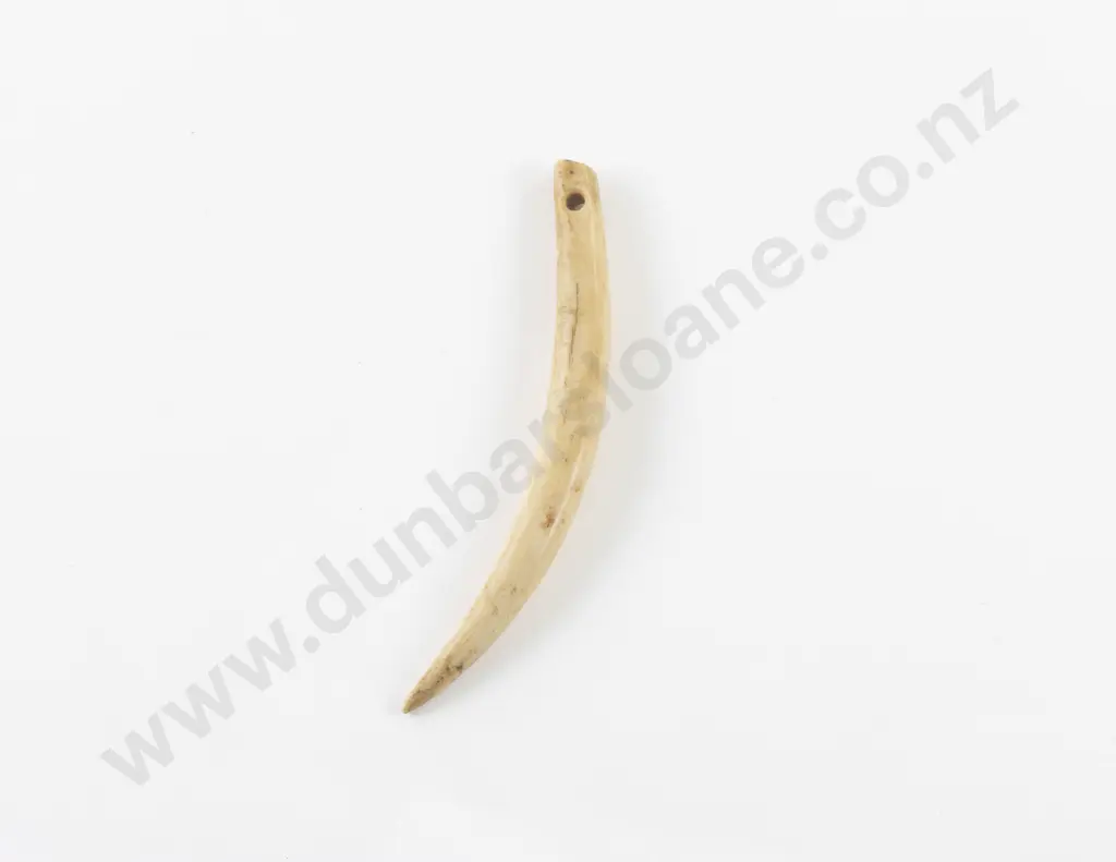 C19th Carved Bone Aurei (cloak pin) Image 1++