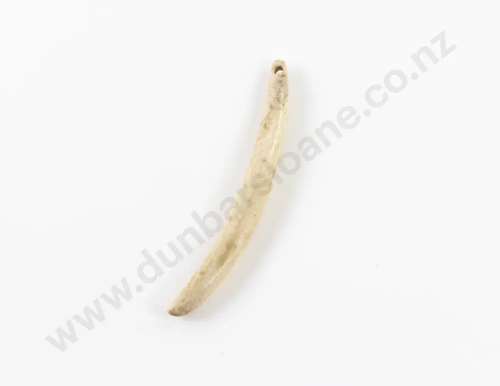 Whale Tooth Aurei (Cloak Pin) Image 1++