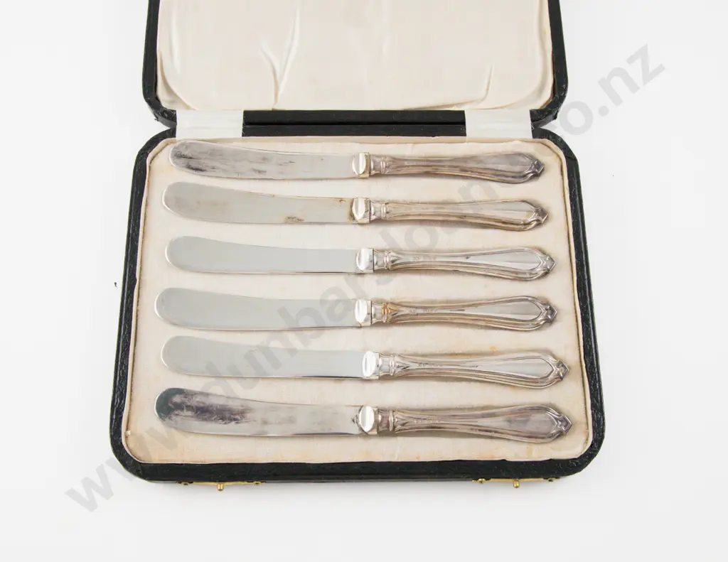 Cased Set Of 6 S/S Handled Afternoon Tea Knives Image 1++