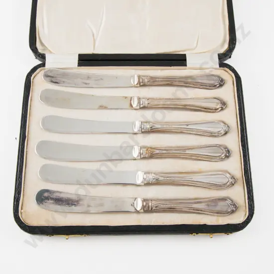 Cased Set Of 6 S/S Handled Afternoon Tea Knives