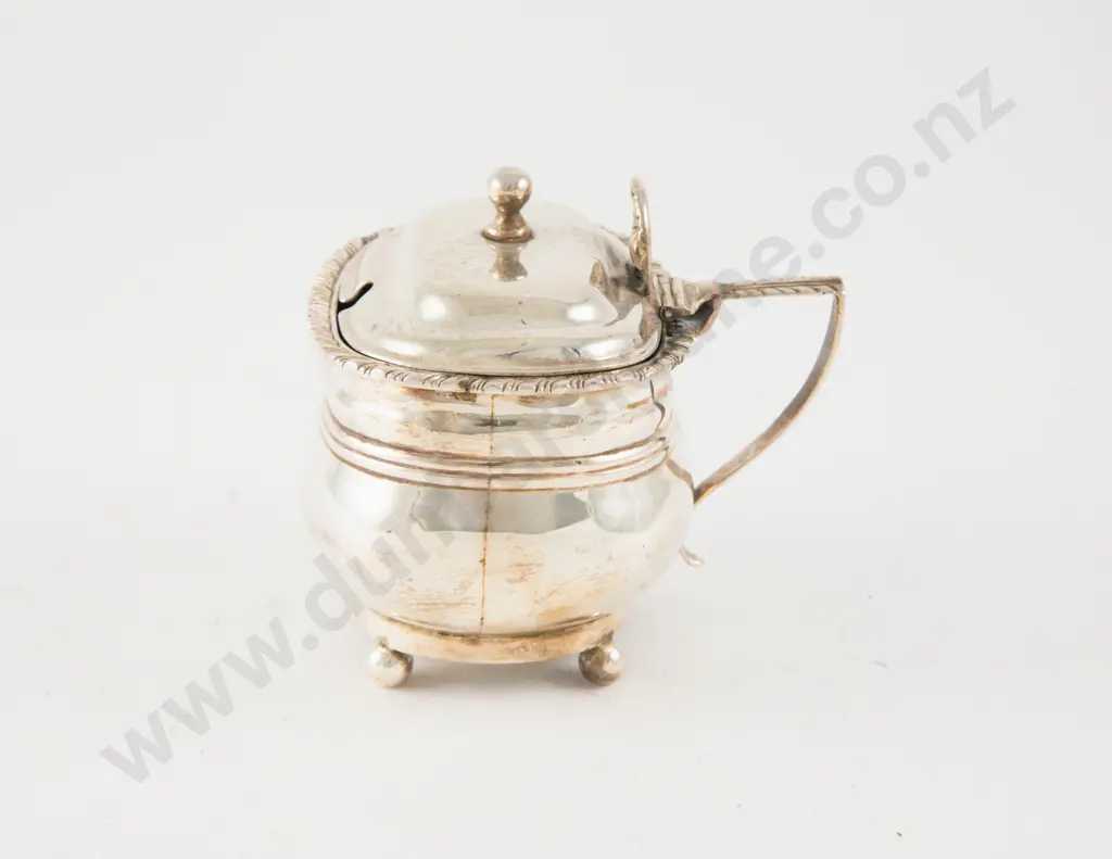 Vict S/S Mustard Pot Image 1++