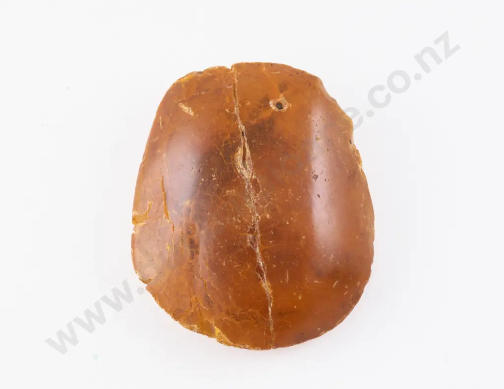 Kauri Gum with Incased Skink Image 1++