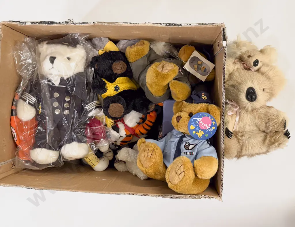 Collection Newish Teddy Bears Image 1++