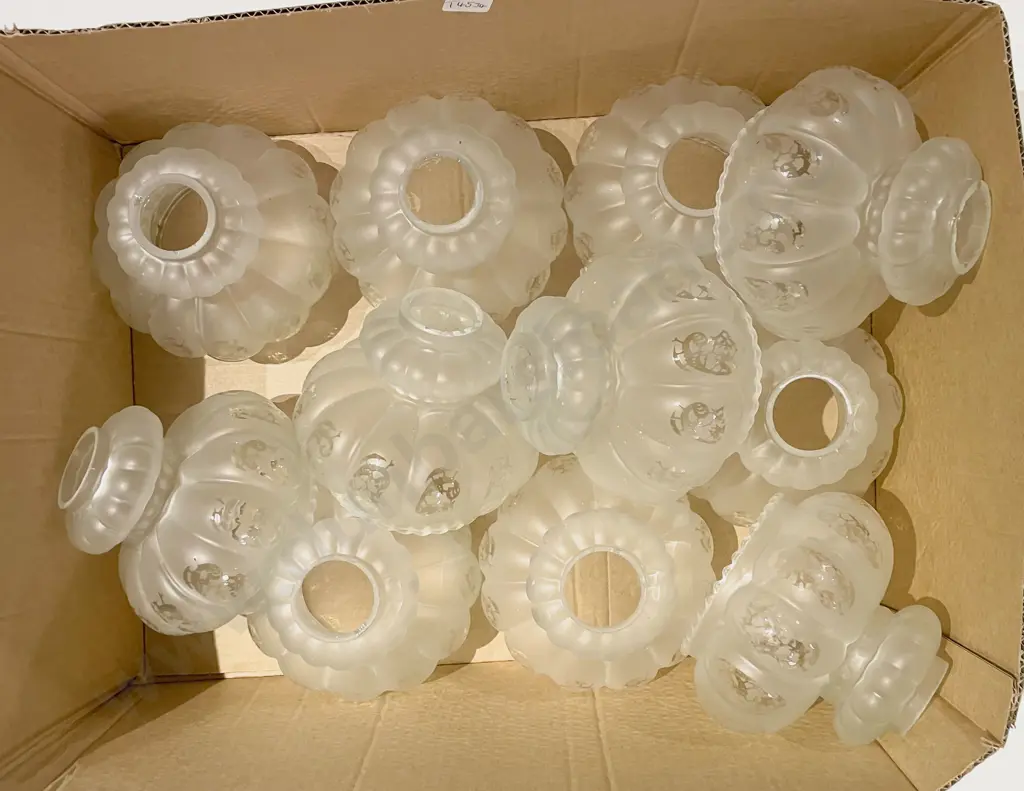 11 Glass Light Shades Image 1++