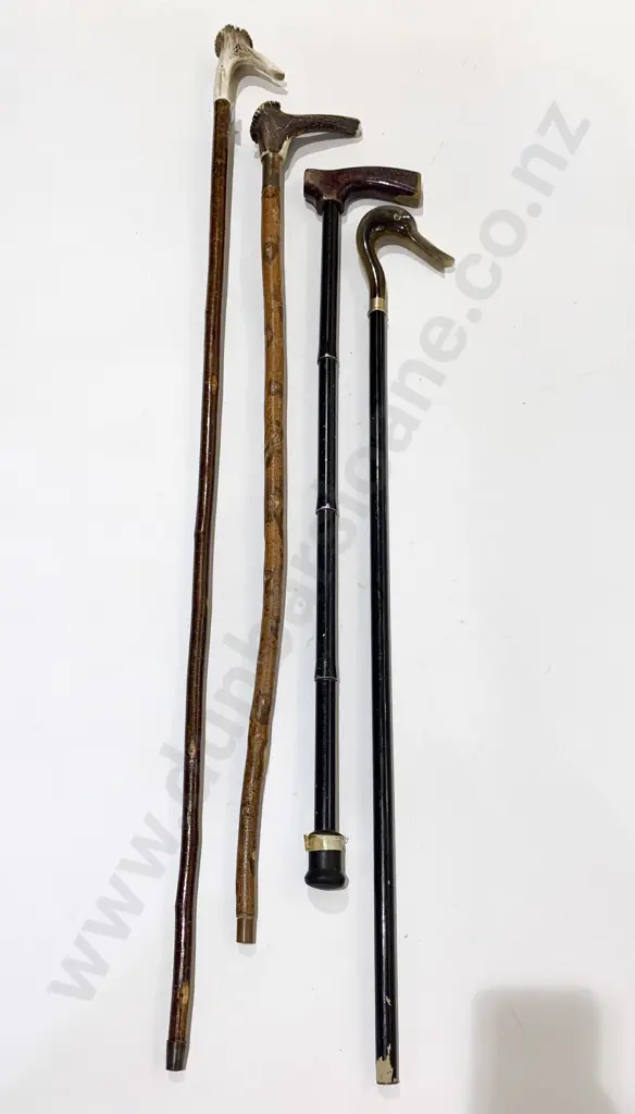 Four Assorted Walking Sticks Image 1++