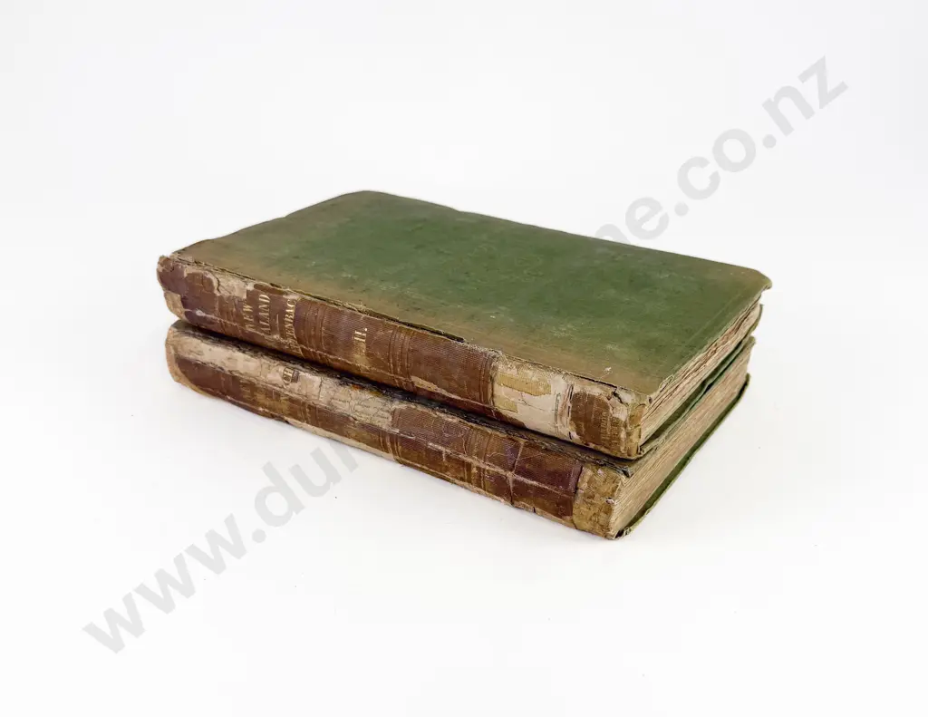 Dieffenbach Ernest - Travels in New Zealand (2 Volumes) Image 1++