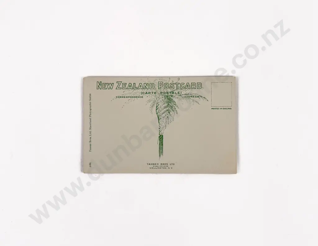 4 Tanner Bros Ltd Maoriland Photographic Series Postcards c1910-20 Image 1++