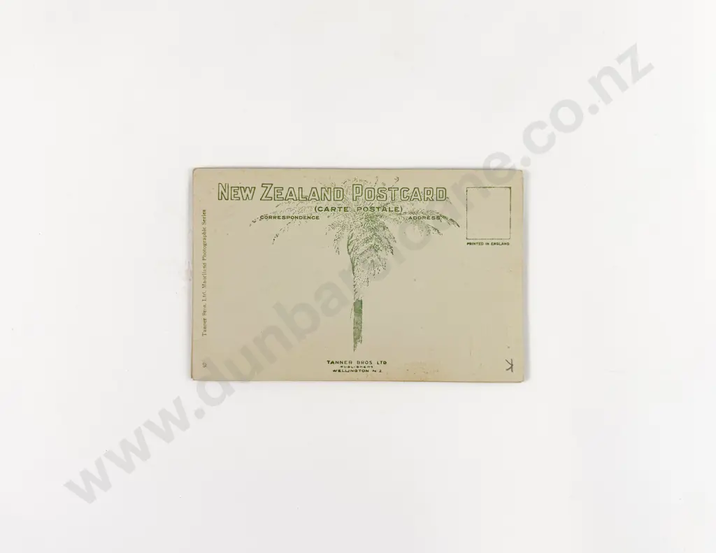 4 Tanner Bros Ltd Maoriland Photographic Series Postcards c1910-20 Image 1++