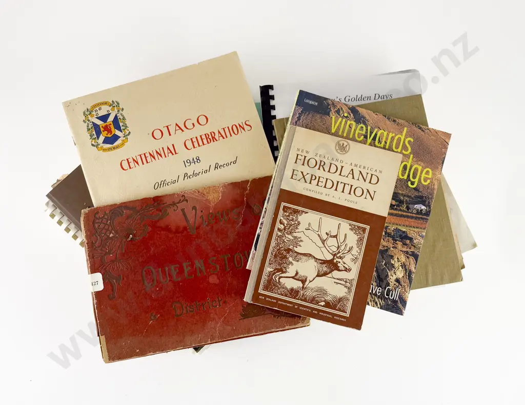 Carton Of Assorted Booklets Relating To Otago & The South Image 1++