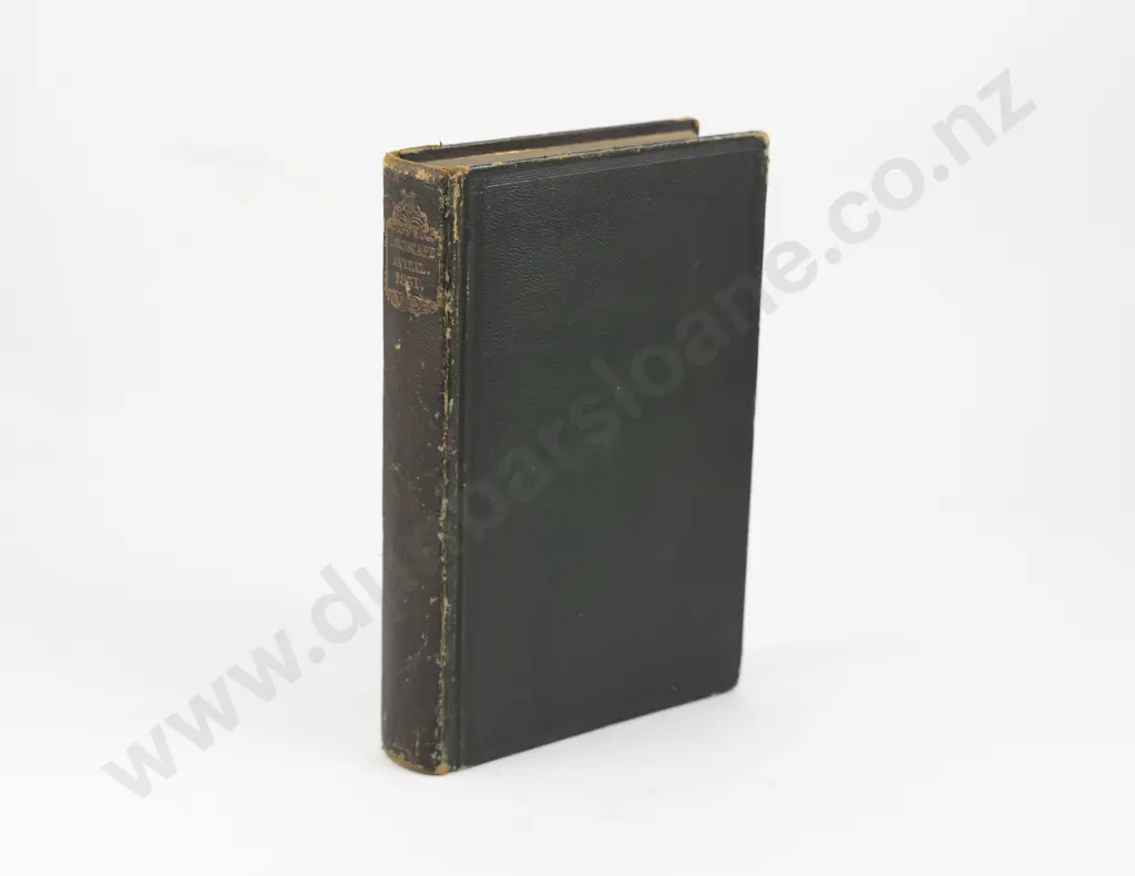 Roscoe Thomas - The Tourist in Italy Image 1++