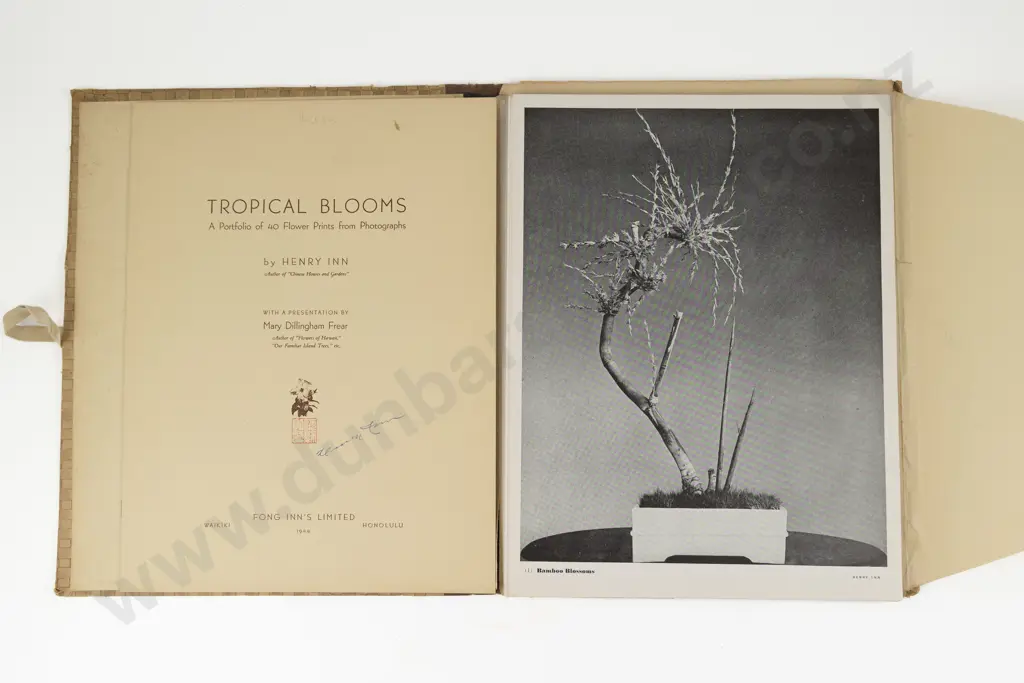 3 Large Hawaiian Volumes Image 1++