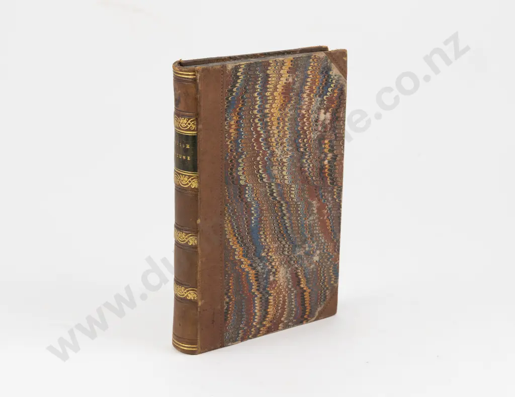 Planche J R - British Costume Image 1++