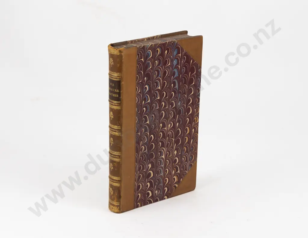 Galt John - The Ayrshire Legatees or The Pringle Family Image 1++