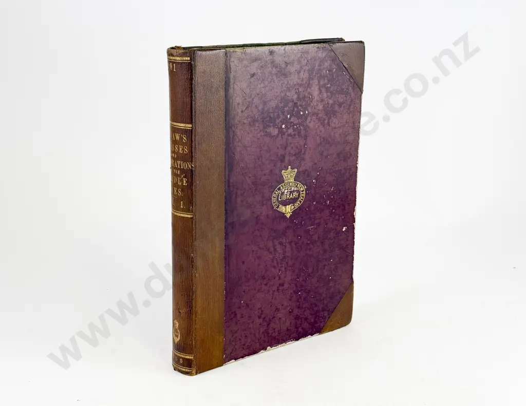 Shaw Henry - Dresses and Decorations of the Middle Ages Image 1++