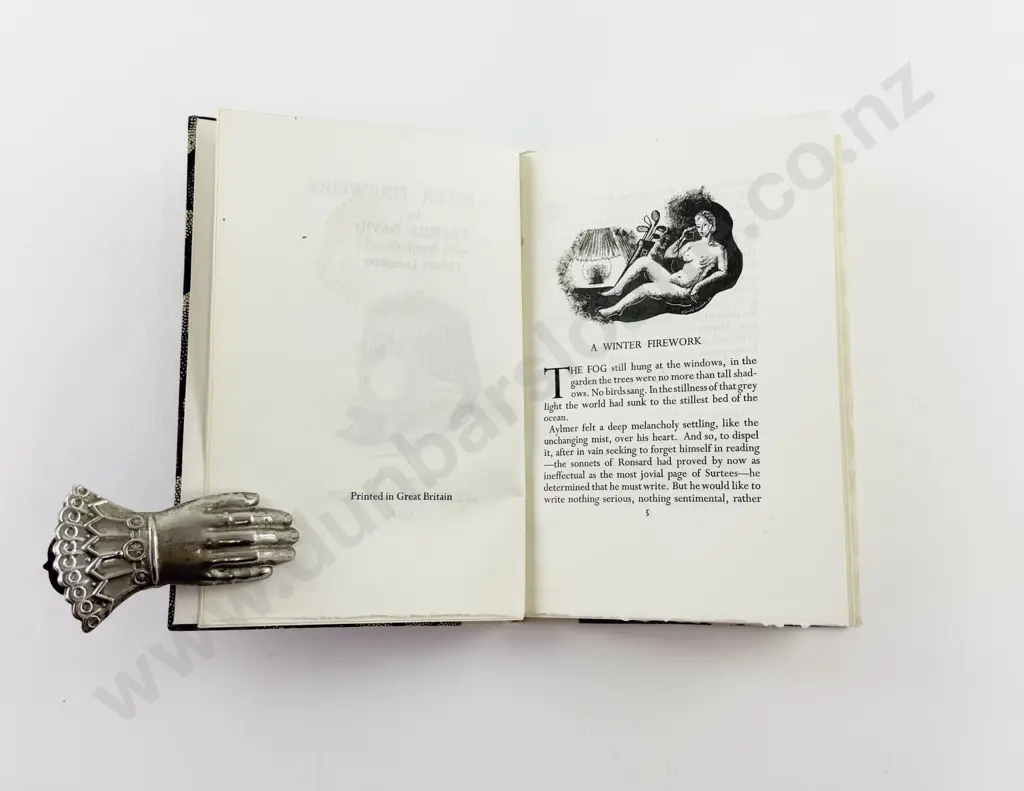 Villiers David - A Winter Firework Image 1++