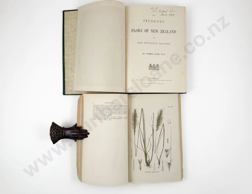 Kirk Thomas - The Students Flora Of New Zealand Image 1++