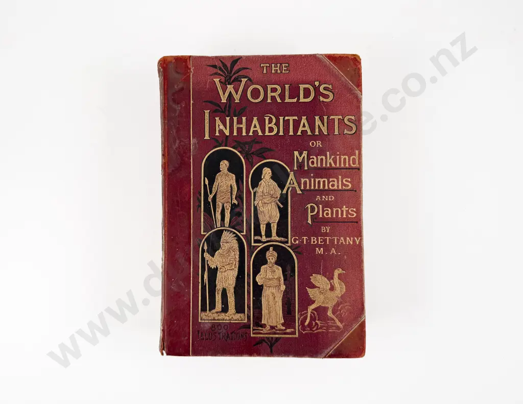 Bettany G T - The World's Inhabitants Image 1++